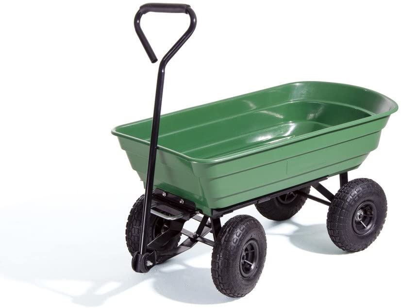 CARRELLO1